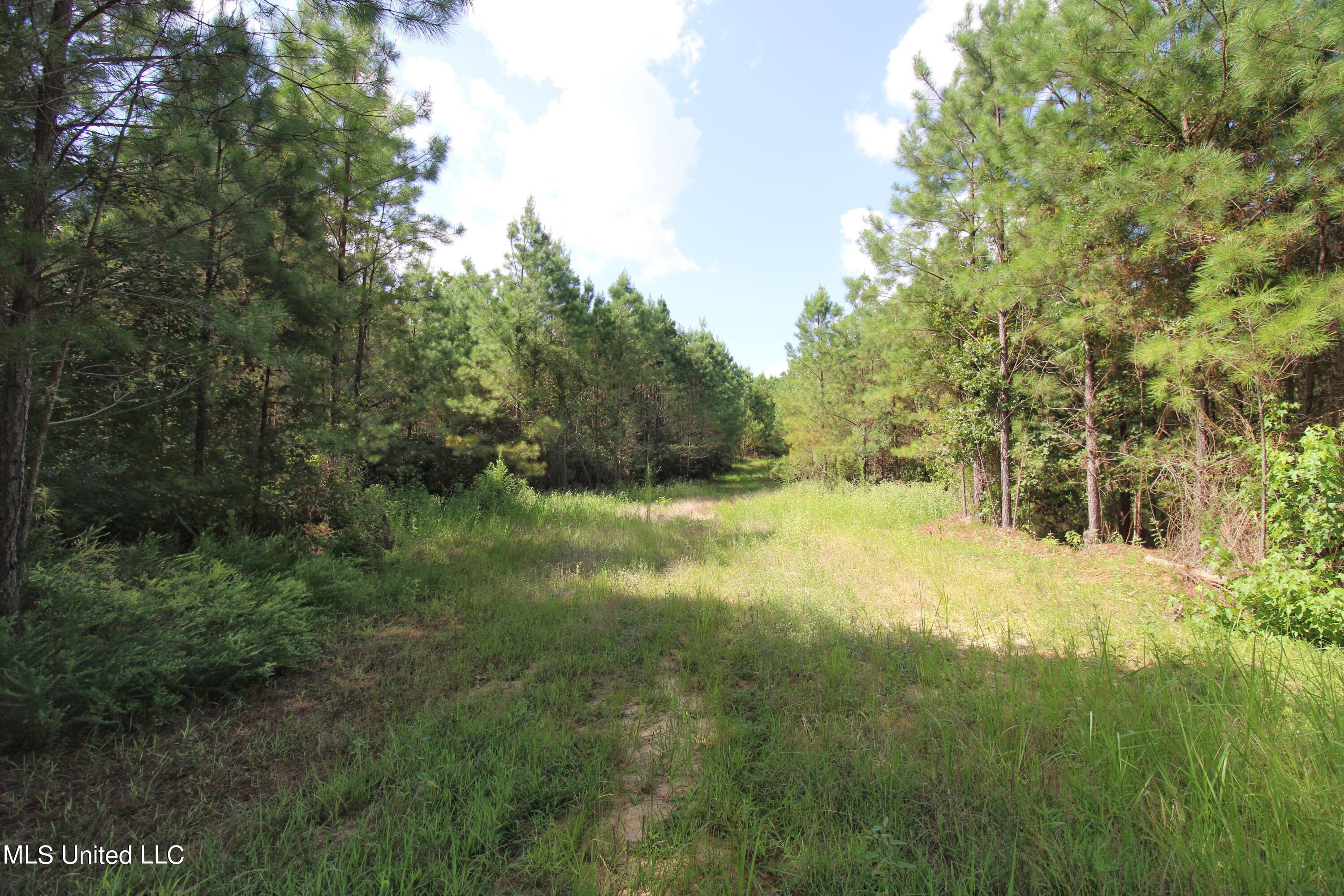 1832 Fort Hill Road Grenada, MS 38901 - Photo 25 of 41 IMG_6905