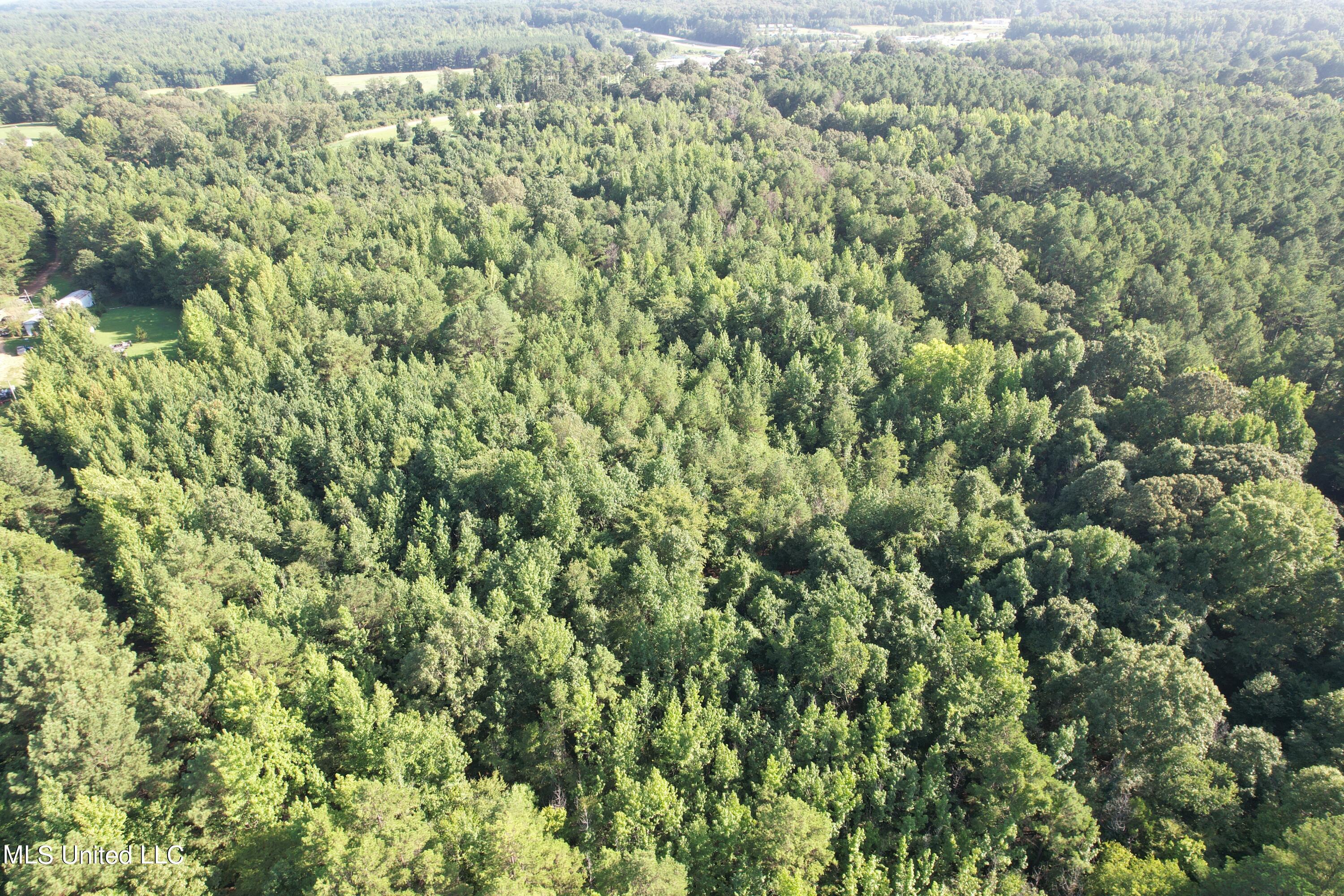 1832 Fort Hill Road Grenada, MS 38901 - Photo 27 of 41 DJI_0762