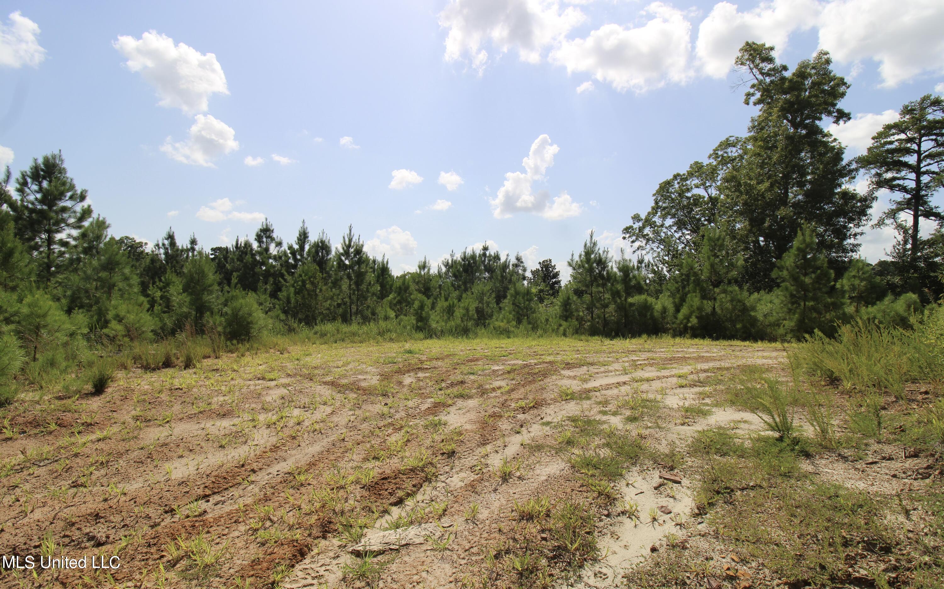 1832 Fort Hill Road Grenada, MS 38901 - Photo 3 of 41 IMG_2482