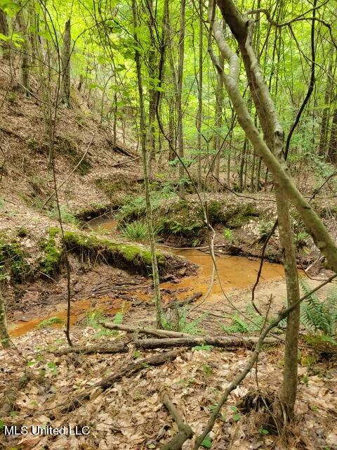 1832 Fort Hill Road Grenada, MS 38901 - Photo 41 of 41 IMG_5272~photo