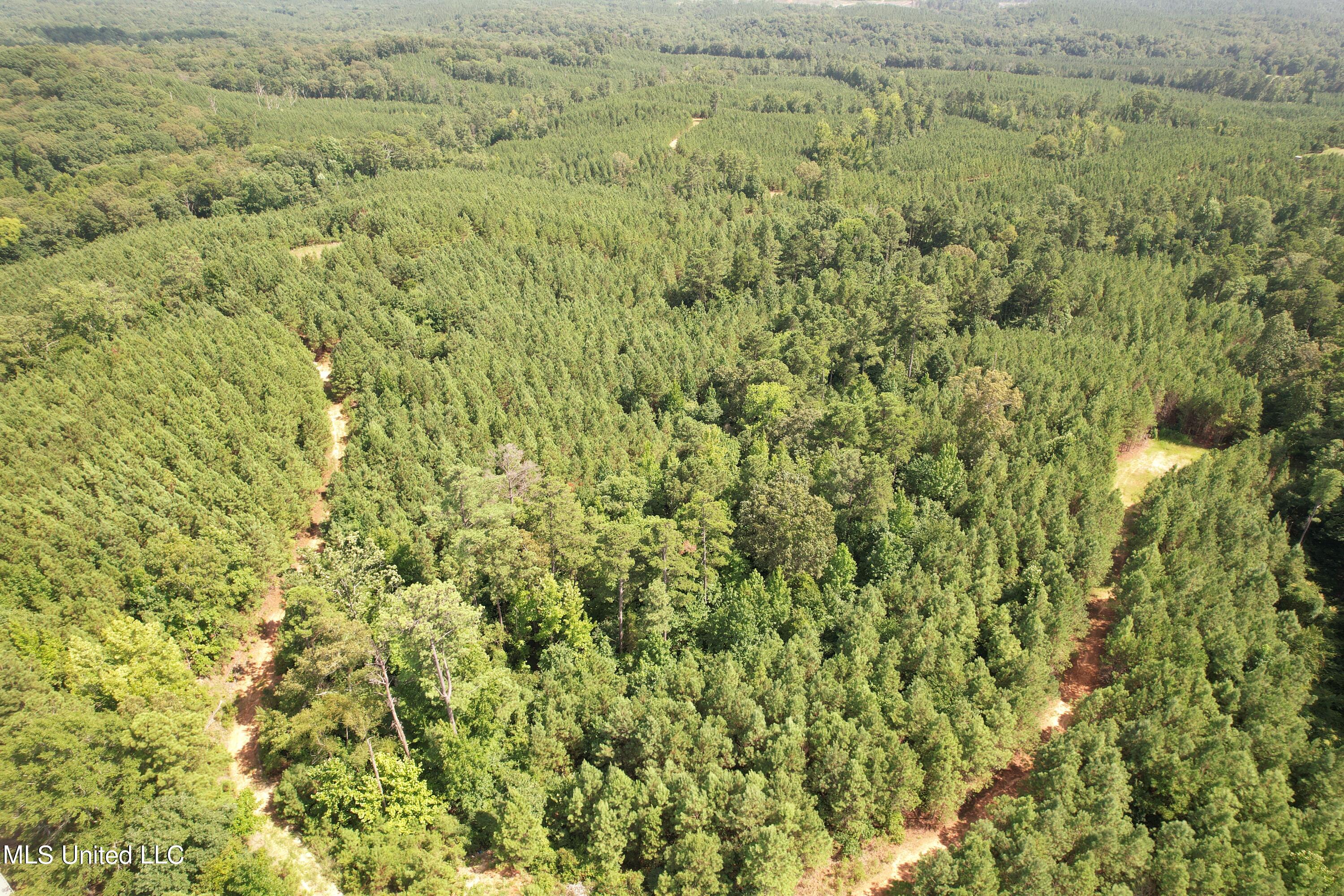 1832 Fort Hill Road Grenada, MS 38901 - Photo 6 of 41 DJI_0747 (3)