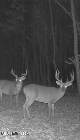 1832 Fort Hill Road Grenada, MS 38901 - Photo 8 of 41 IMG_5263~photo-full