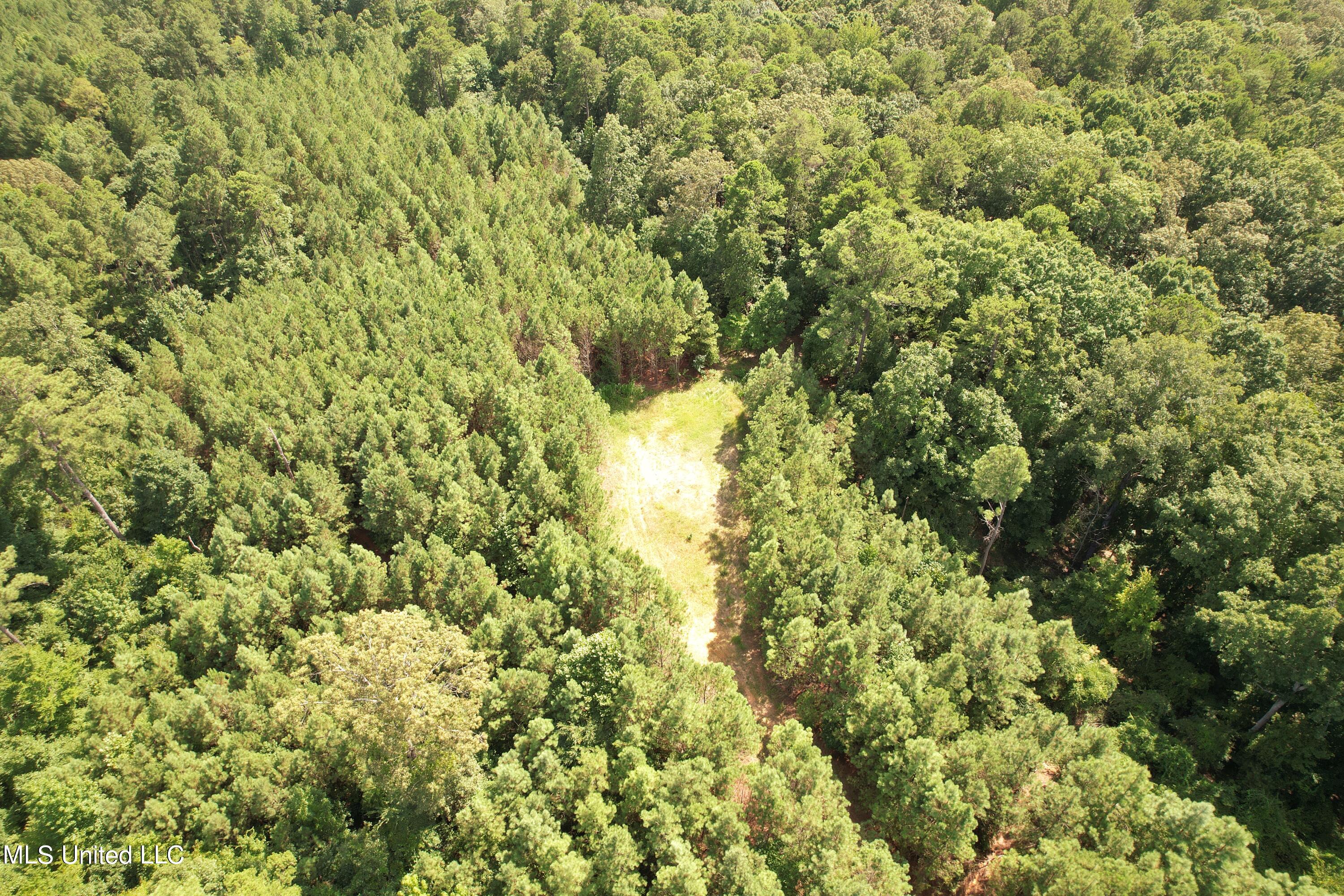 1832 Fort Hill Road Grenada, MS 38901 - Photo 9 of 41 DJI_0748 (3)
