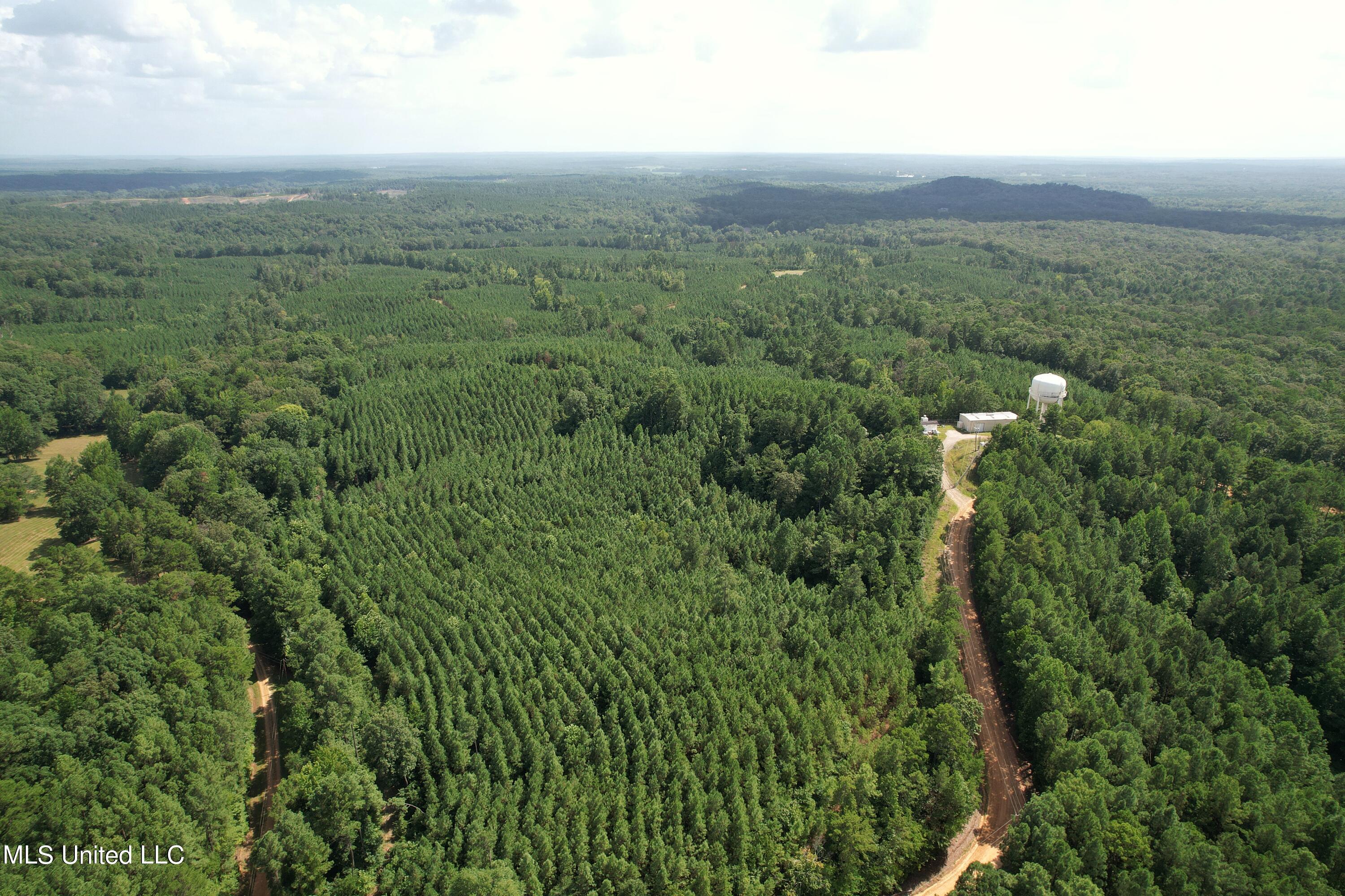 1832 Fort Hill Road Grenada, MS 38901 - Photo 10 of 41 DJI_0752 (3)