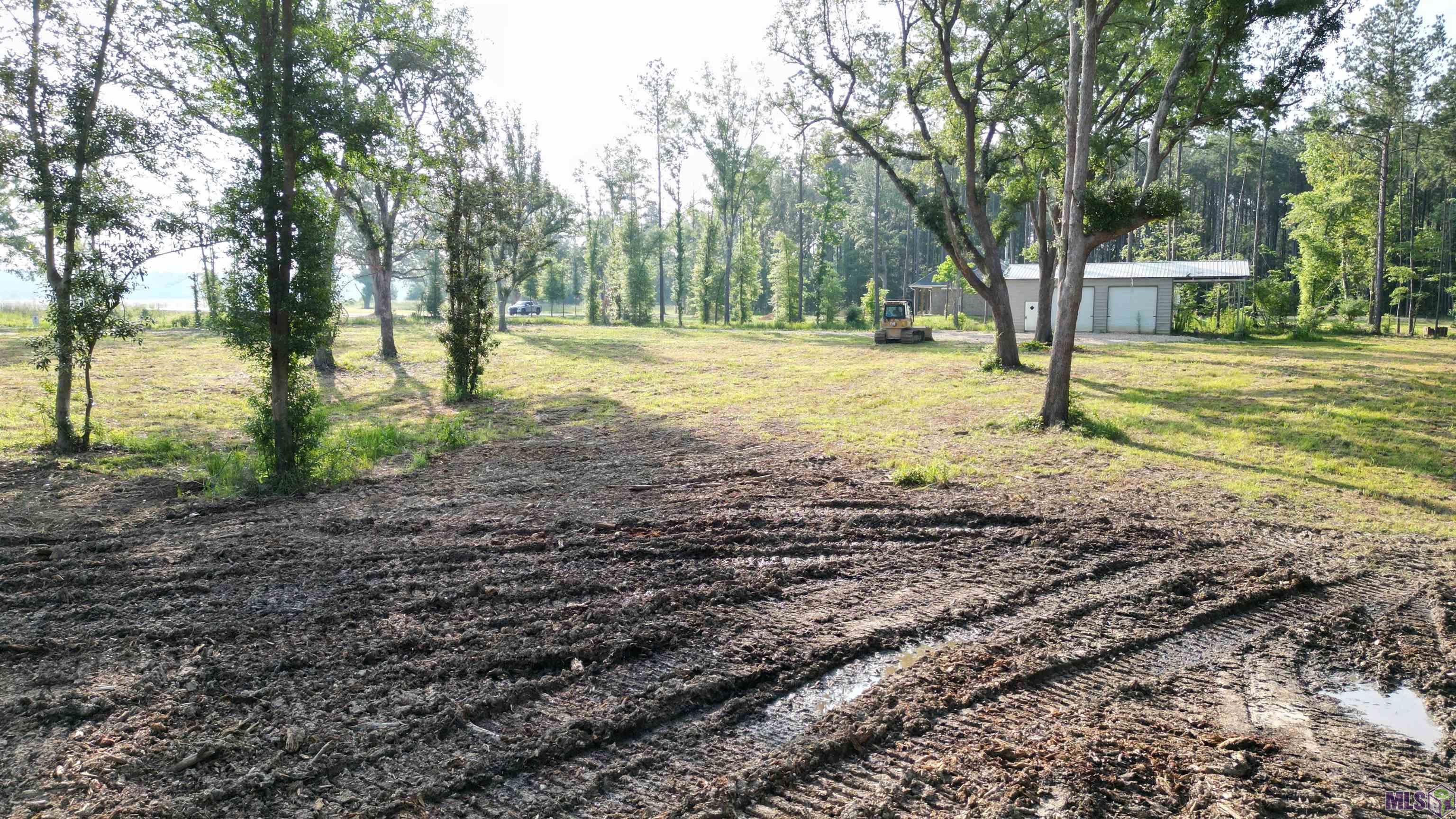 3605 Nesom Road Denham Springs, LA 70706 - Photo 9 of 11