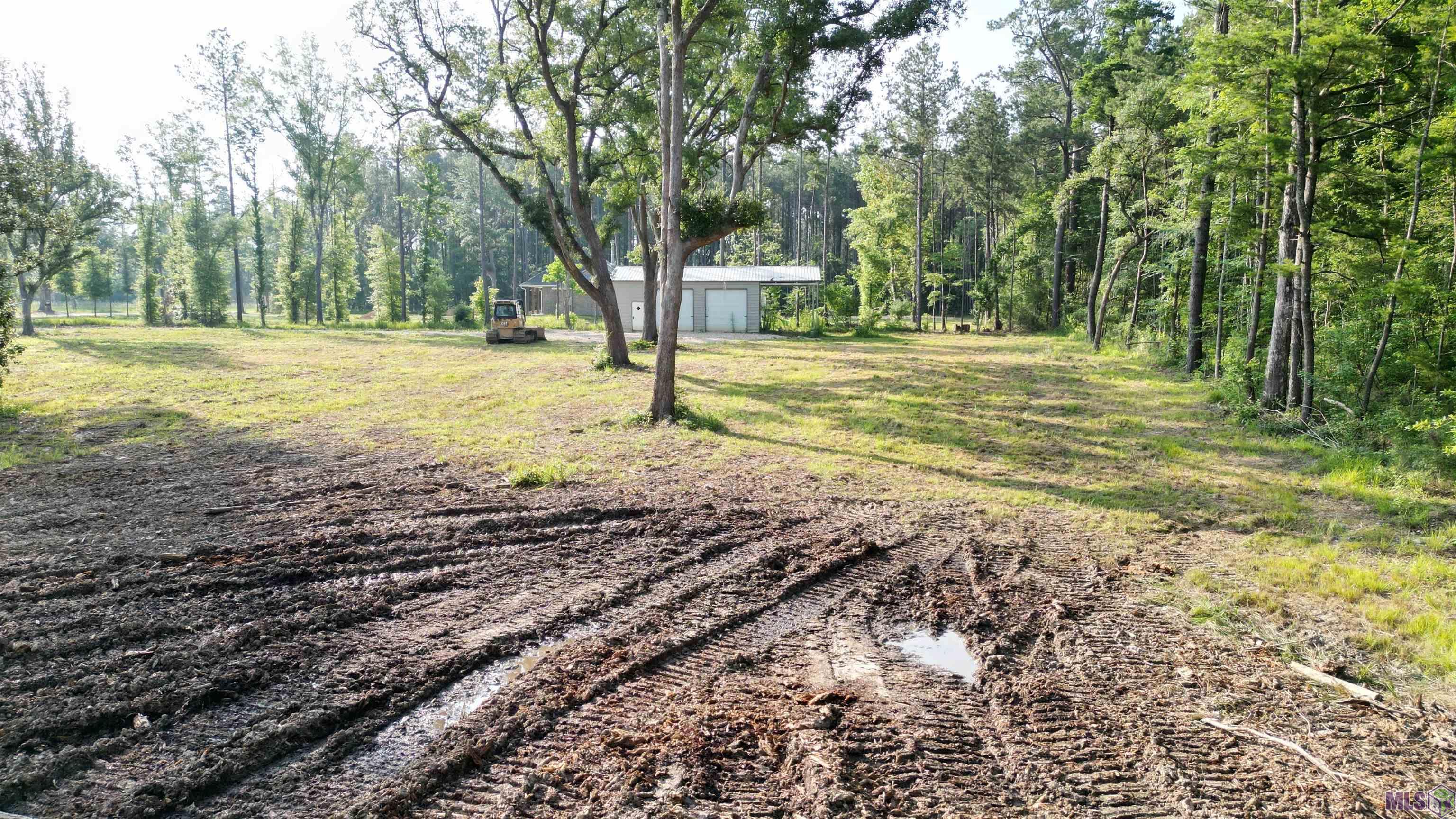 3605 Nesom Road Denham Springs, LA 70706 - Photo 10 of 11