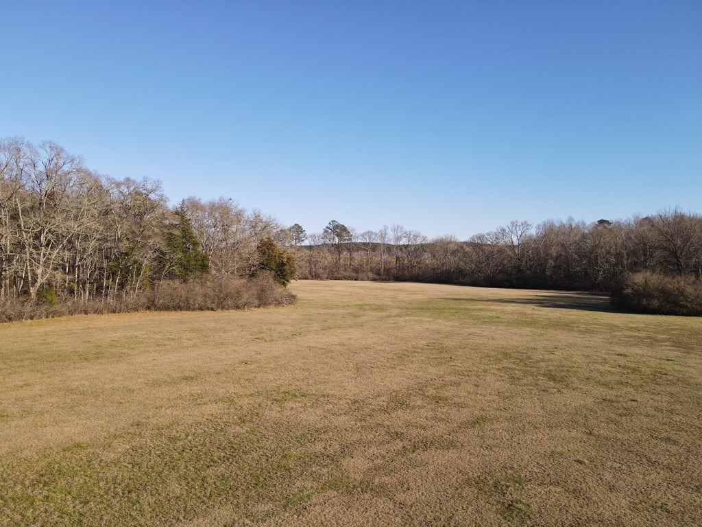 0 Fryer Road Shiloh, GA 31826 - Photo 11 of 15 Gallery Image 11