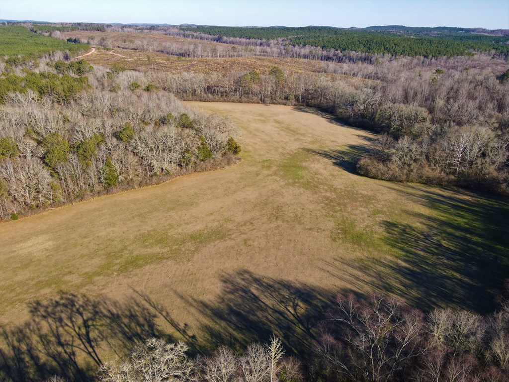 0 Fryer Road Shiloh, GA 31826 - Photo 13 of 15 Gallery Image 13