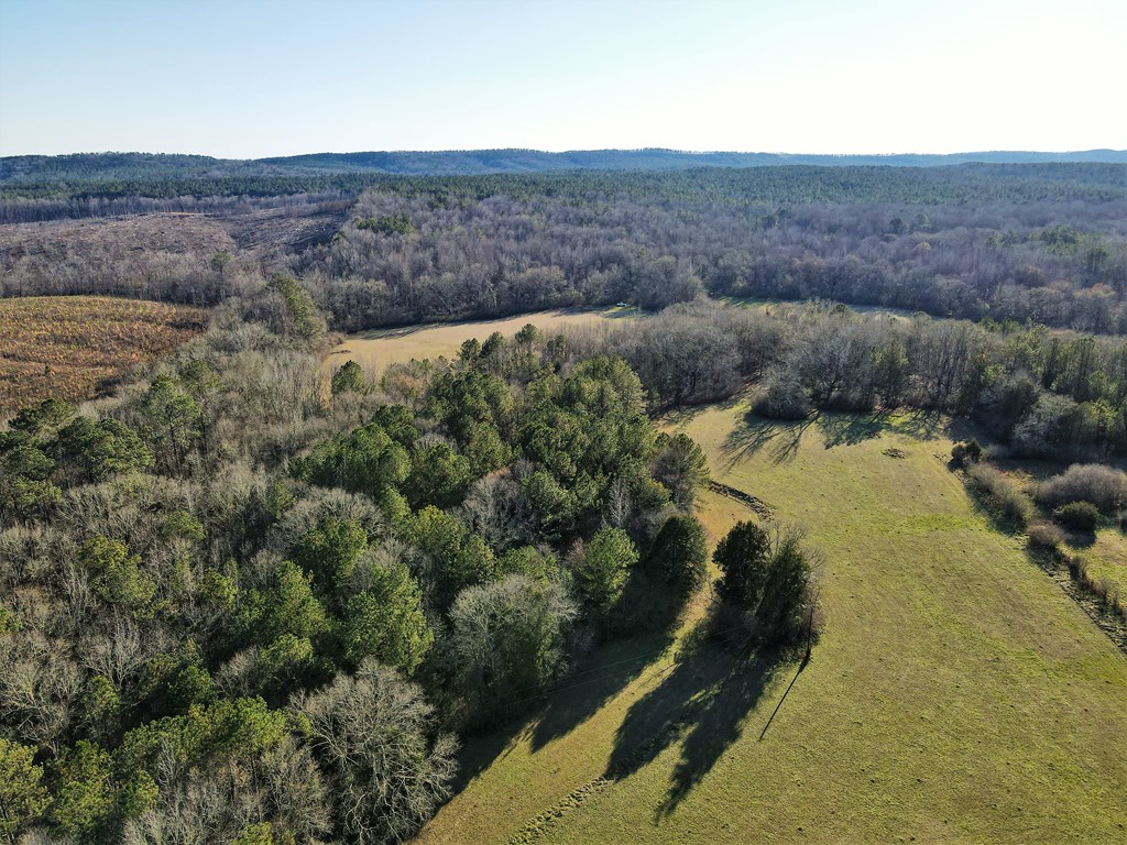 0 Fryer Road Shiloh, GA 31826 - Photo 6 of 15 Gallery Image 6