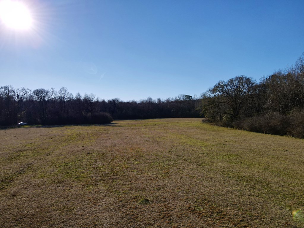 0 Fryer Road Shiloh, GA 31826 - Photo 7 of 15 Gallery Image 7