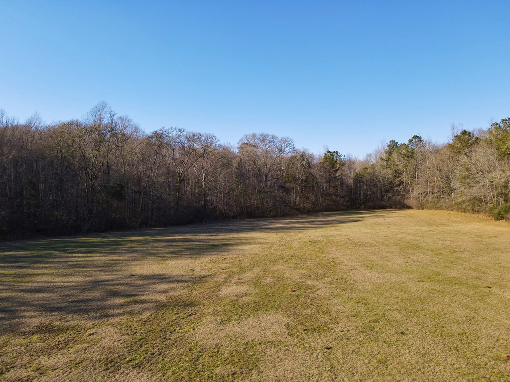 0 Fryer Road Shiloh, GA 31826 - Photo 9 of 15 Gallery Image 9