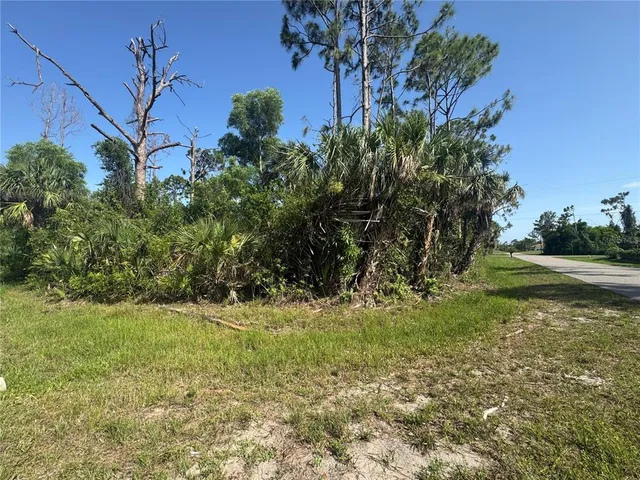 $30,000 | 12401 Perrine Avenue, Port Charlotte, FL 33981