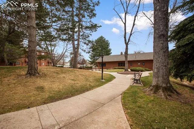 a view of backyard of the house