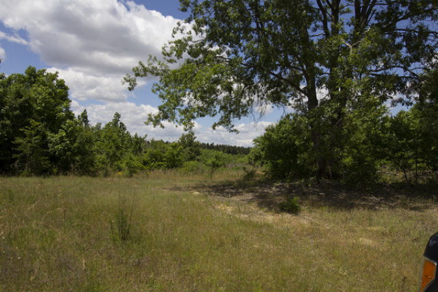 5 Middle Ground Road Louisville, GA 30434 - Photo 1 of 1 Main View