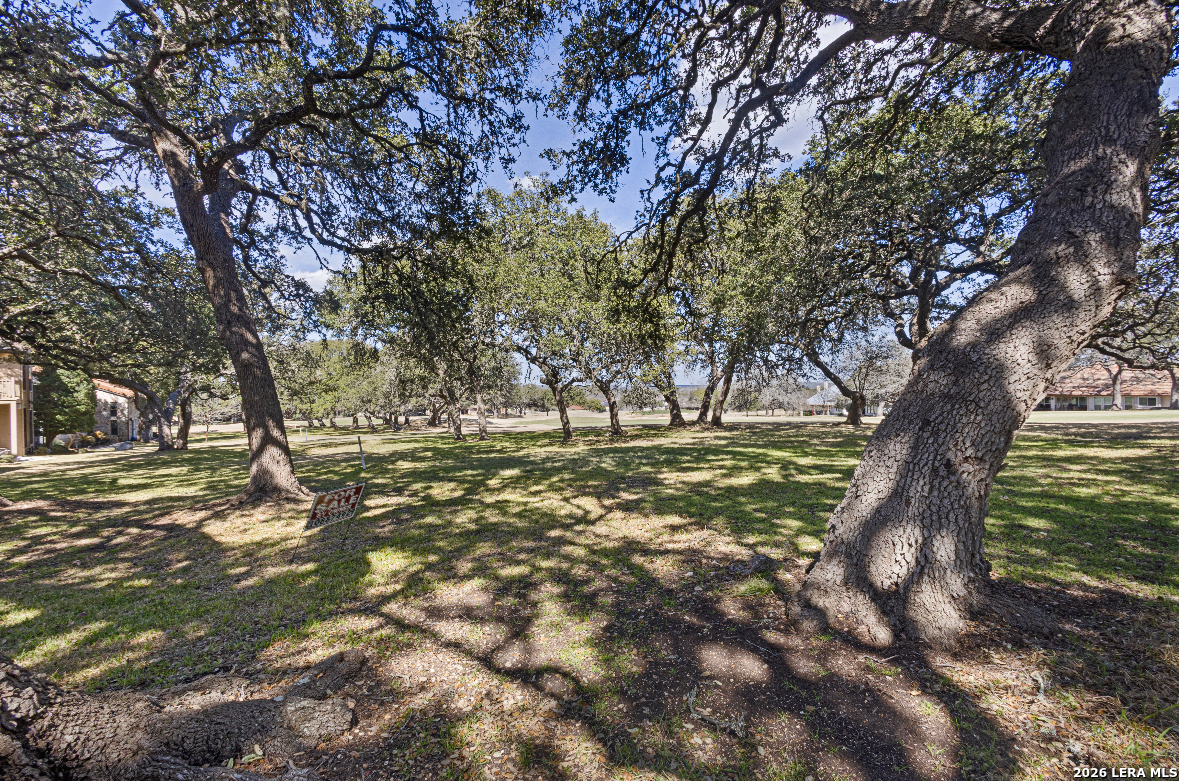 29342 Ridgeview Trail Boerne, TX 78015 - Photo 19 of 19