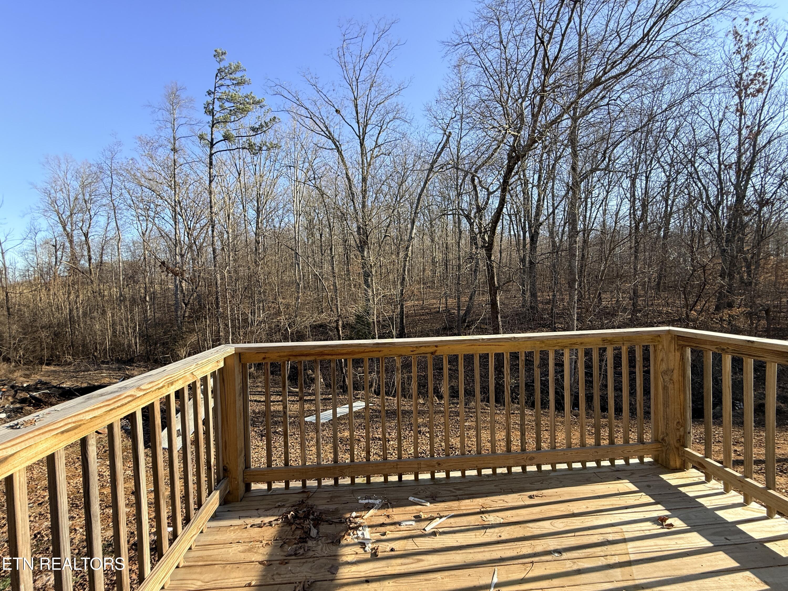 166 Maynard Avenue Jamestown, TN 38556 - Photo 21 of 22 IMG_9027