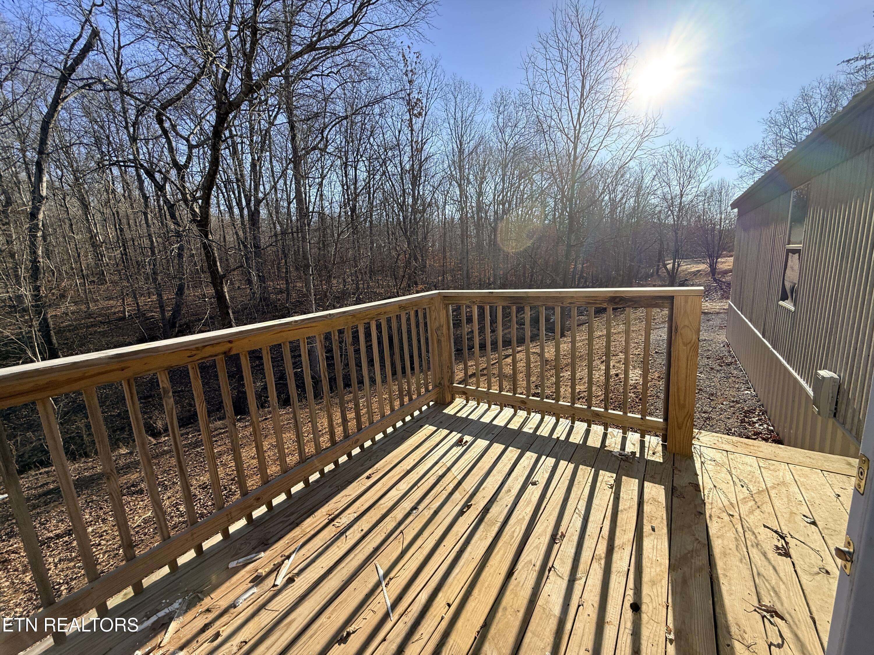 166 Maynard Avenue Jamestown, TN 38556 - Photo 22 of 22 IMG_9028