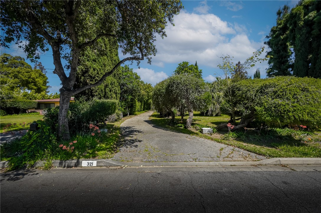 a view of a street with a yard