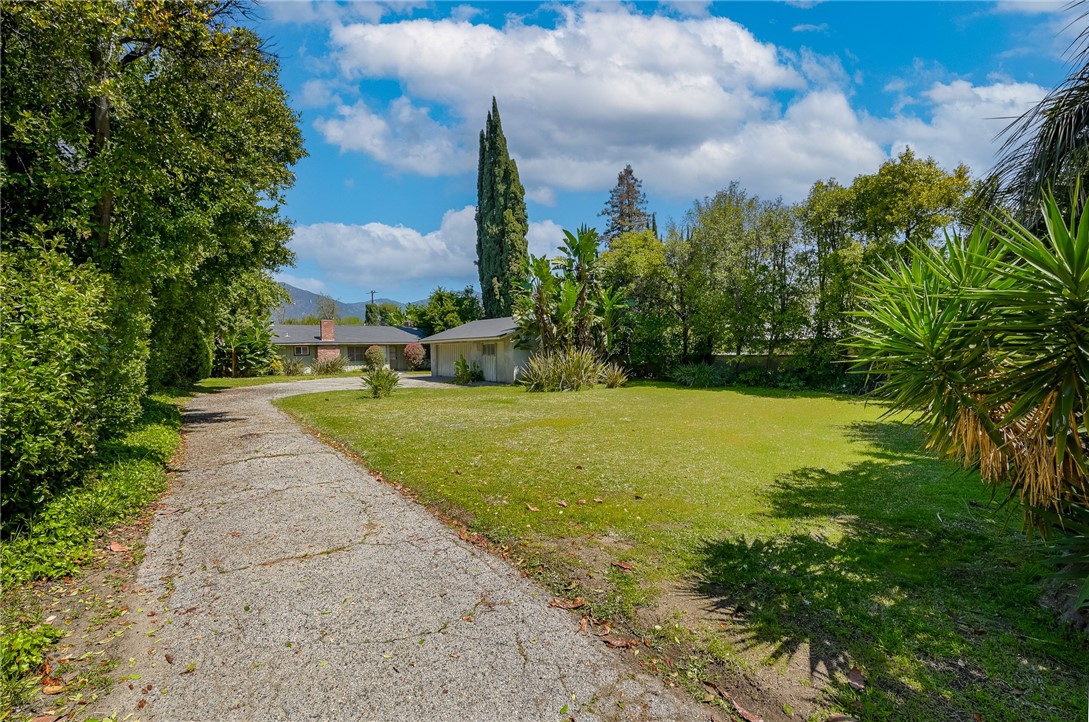321 West Le Roy Avenue Arcadia, CA 91007 - Photo 3 of 38 a view of a garden with a building in the background