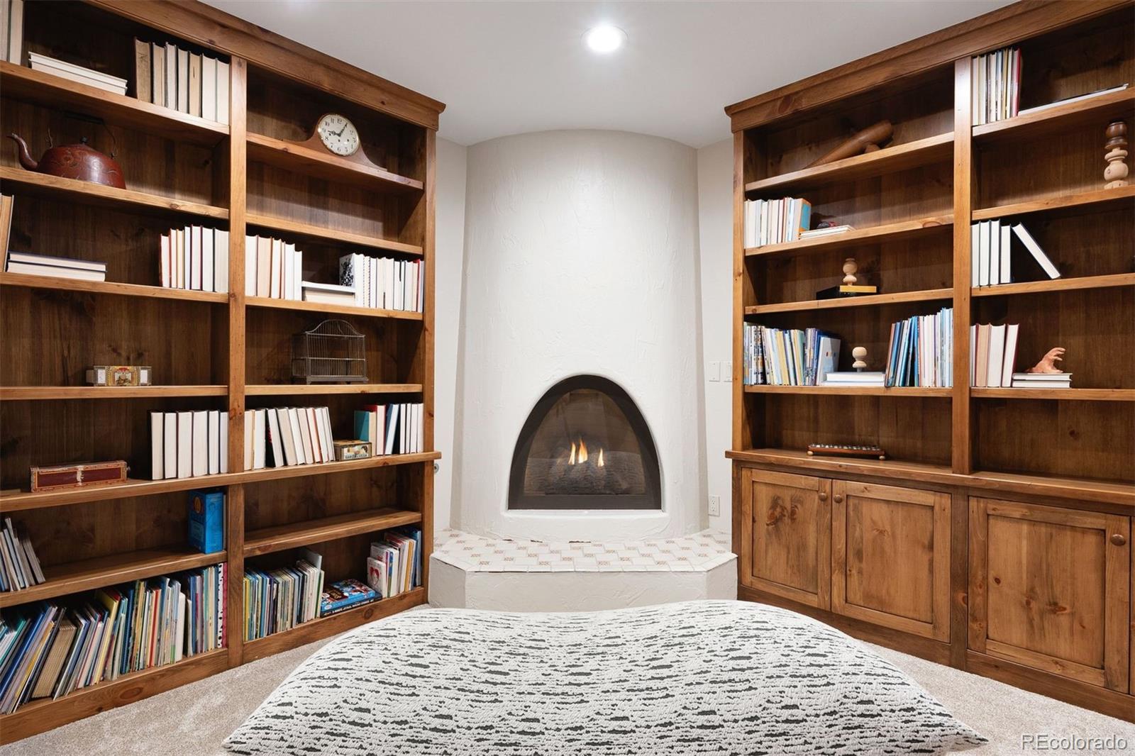 9 Polo Field Lane Denver, CO 80209 - Photo 25 of 36 a living room with a book shelf and a book shelf