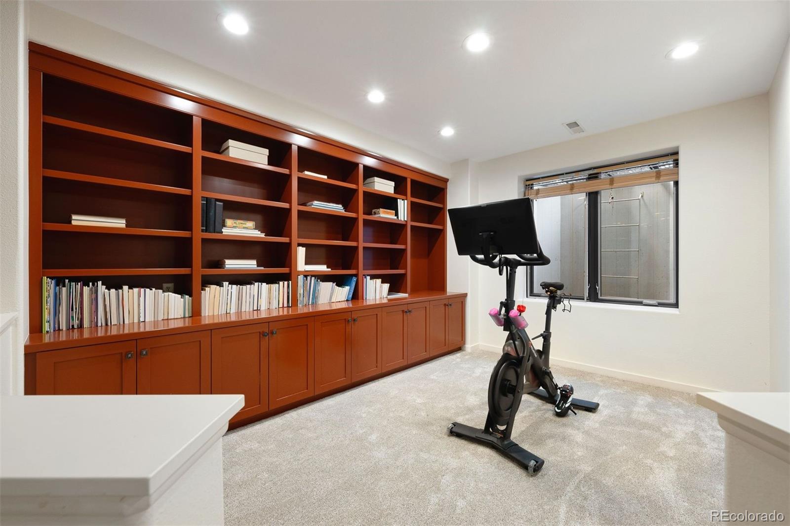 9 Polo Field Lane Denver, CO 80209 - Photo 26 of 36 a view of a room with gym equipment