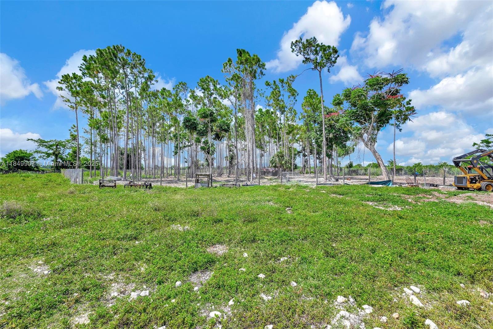 19777 Southwest 334th Street Homestead, FL 33034 - Photo 54 of 55 a garden view