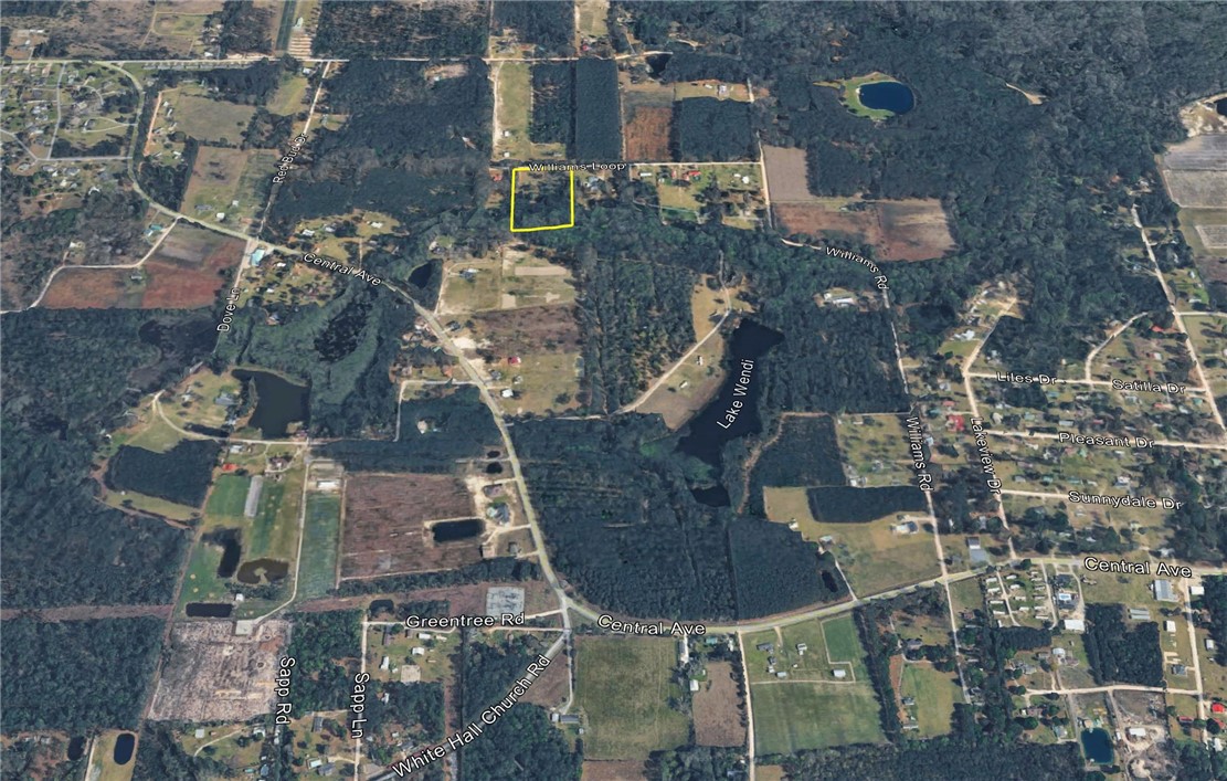 264 Williams Loop Waycross, GA 31503 - Photo 3 of 3