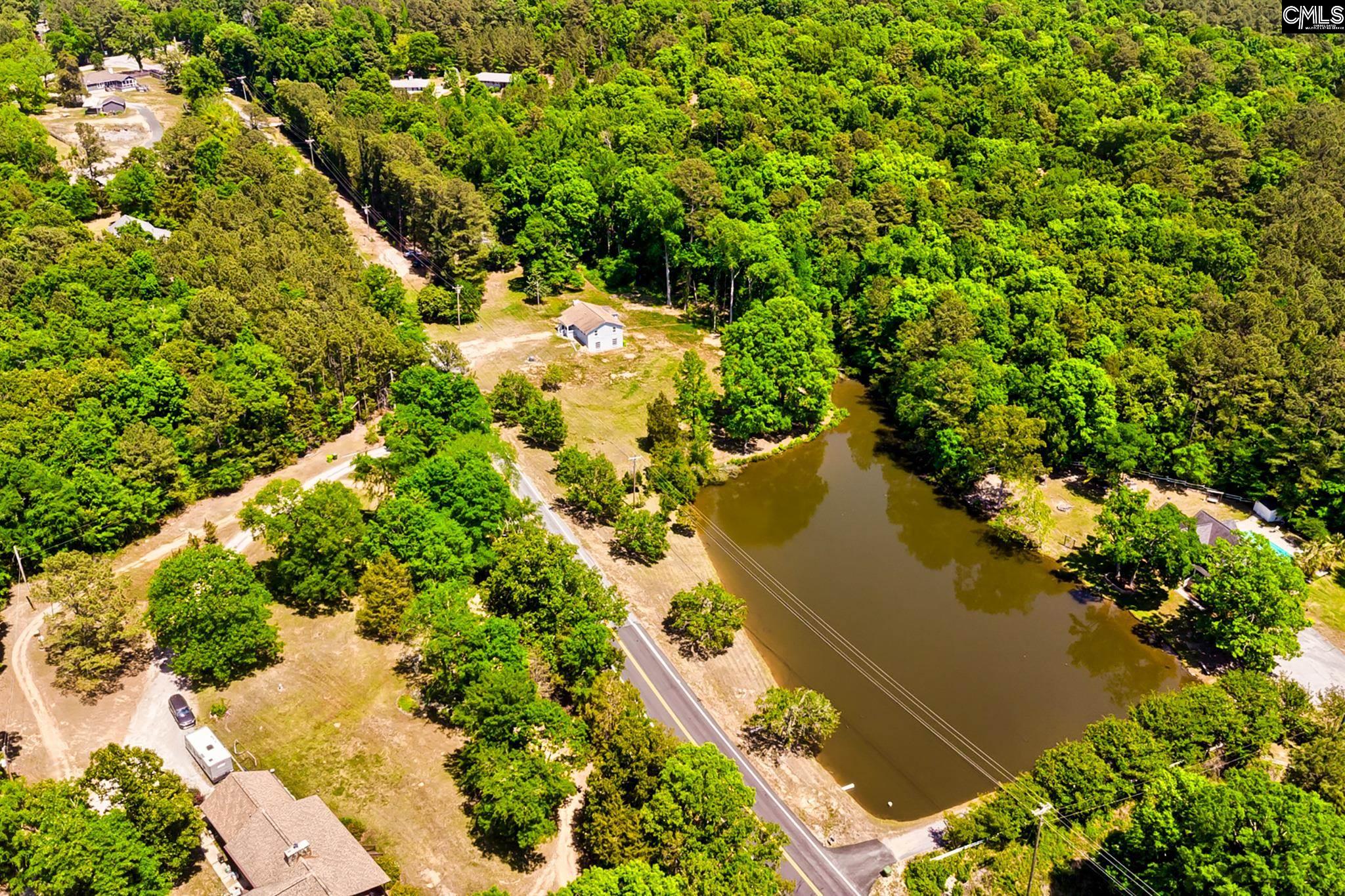 1133 Old Hilton Road Chapin, SC 29036 - Photo 44 of 50