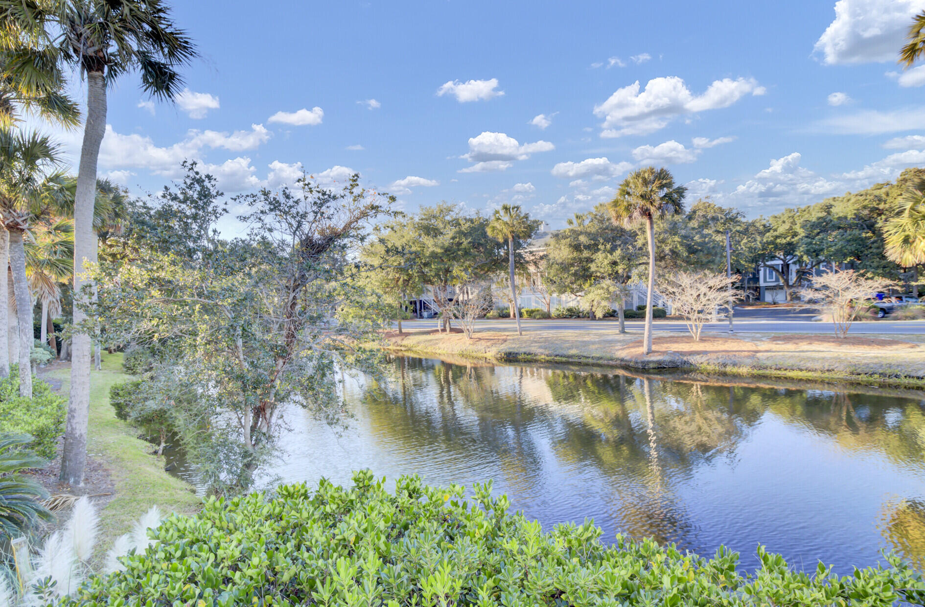32 Back Court Isle of Palms, SC 29451 - Photo 40 of 49 40_40_mls