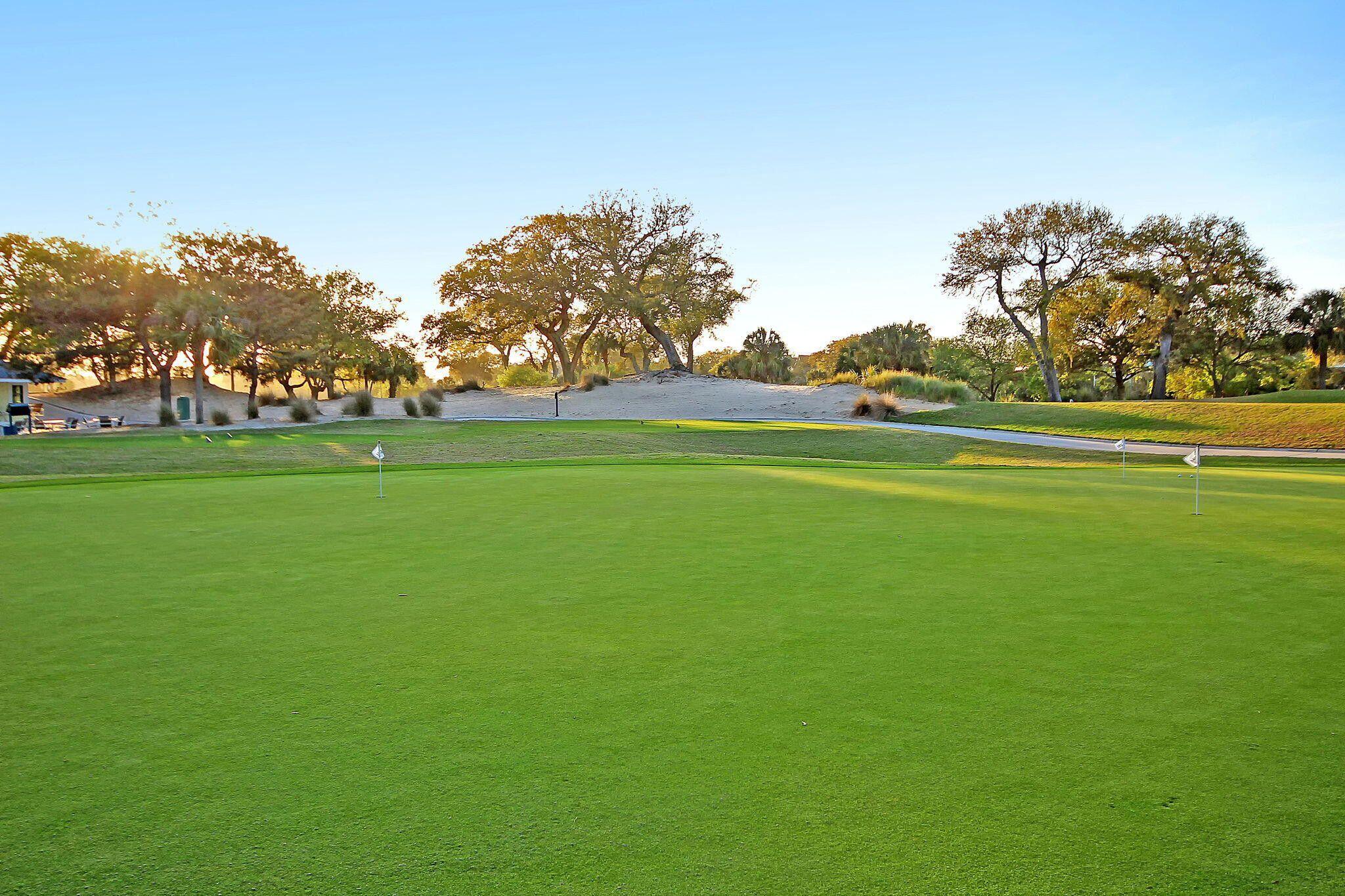 32 Back Court Isle of Palms, SC 29451 - Photo 48 of 49 Green 2