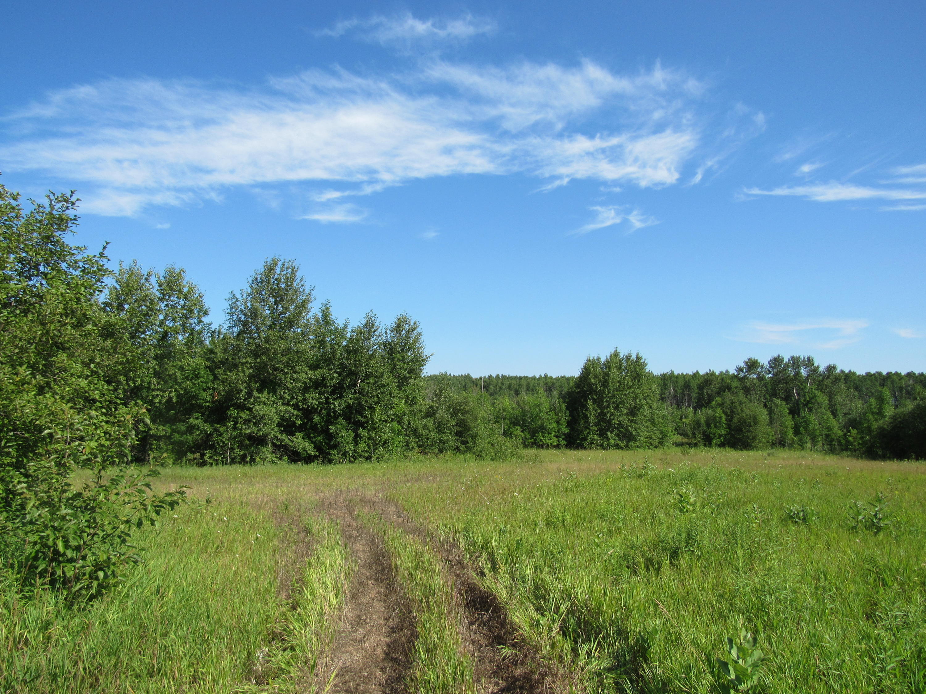 Cole Road Hillman, MI 49746 - Photo 20 of 25 Gallery Image 20