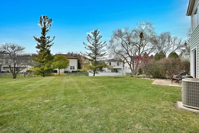 a view of a park with large trees