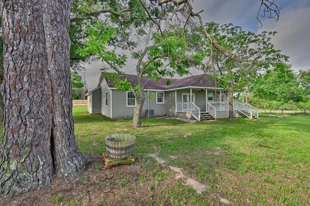a backyard of a house with plants and large tree
