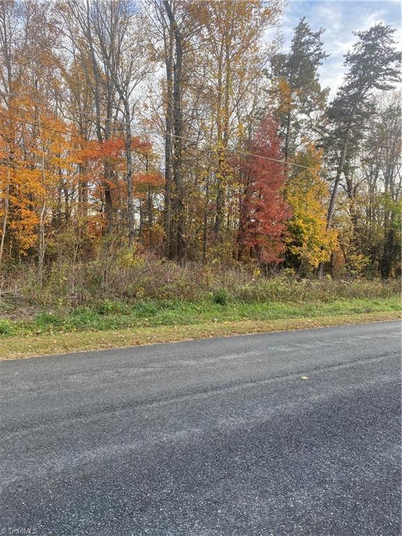 0 Webster Road Mount Airy, NC 27030 - Photo 1 of 6 Gallery Image 1