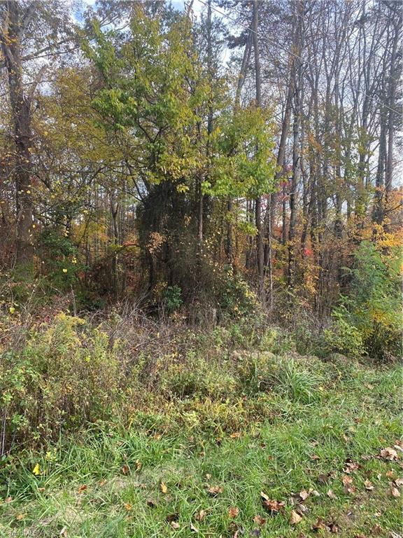 0 Webster Road Mount Airy, NC 27030 - Photo 3 of 6 Gallery Image 3