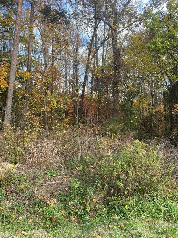 0 Webster Road Mount Airy, NC 27030 - Photo 4 of 6 Gallery Image 4