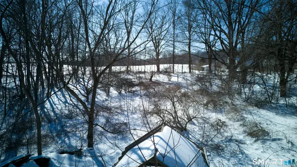 a view of trees and covered with snow