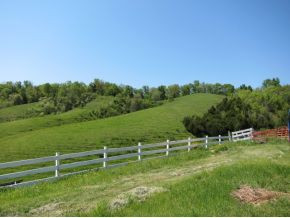 0 Robert Harmon Road Greeneville, TN 37745 - Photo 1 of 8 Photo 1