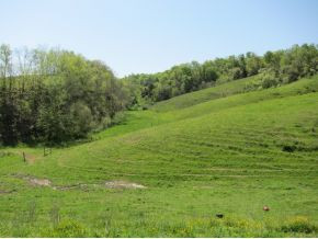 0 Robert Harmon Road Greeneville, TN 37745 - Photo 3 of 8 Photo 3
