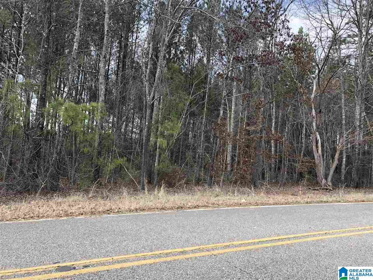 3700 Redman Hall Road, Unit 4 79 ACRES Pinson, AL 35126 - Photo 3 of 5