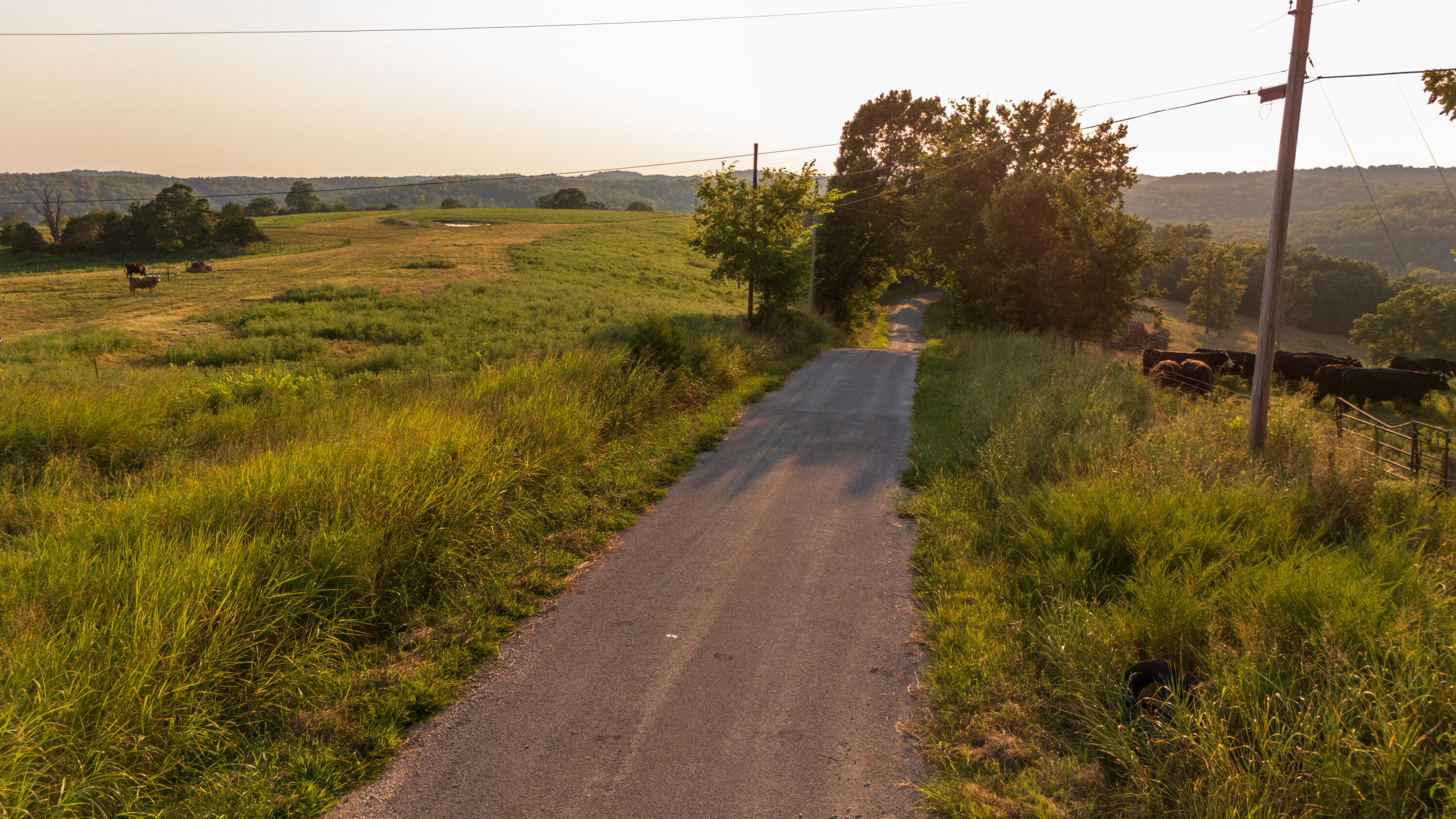 0 Trotter Road Protem, MO 65733 - Photo 22 of 24 0807225_DAY_PROTEMMO-31
