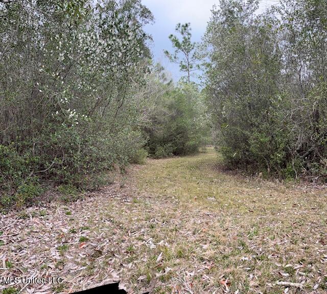 15429 Indian Fork Road Vancleave, MS 39565 - Photo 36 of 63 Trails Abound