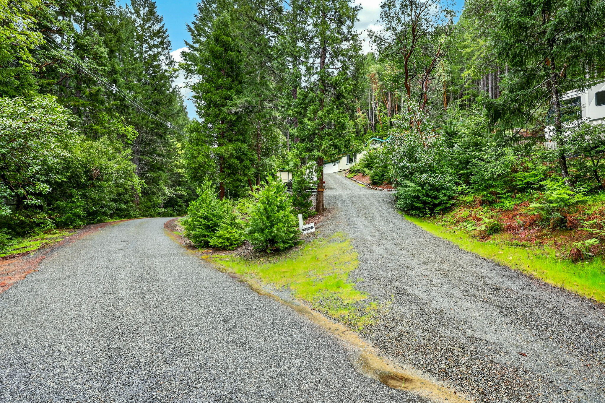 5445 Thompson Creek Road Selma, OR 97538 - Photo 55 of 57 a view of a backyard with plants and large trees