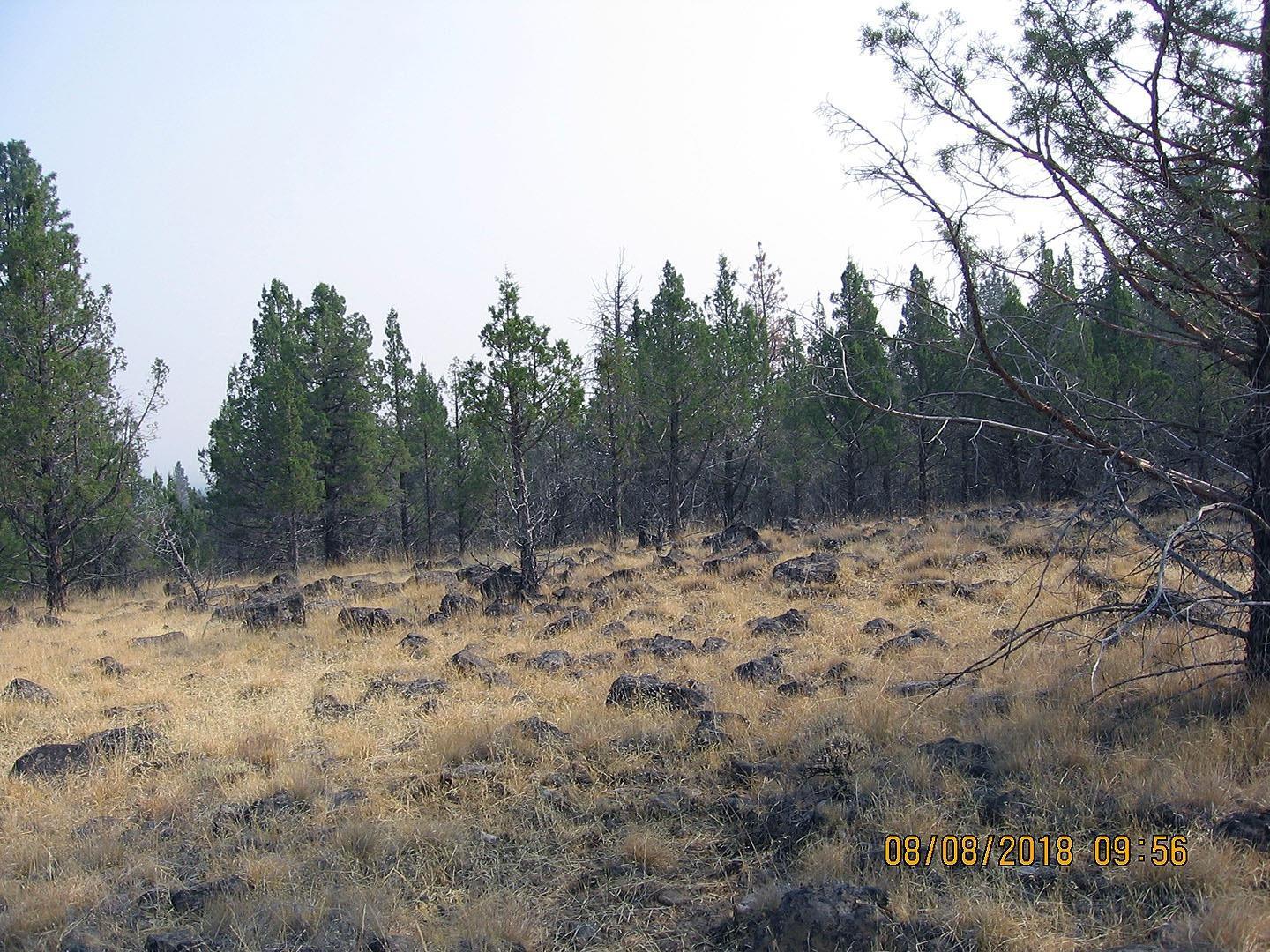 1000 Knollcrest Road Klamath Falls, OR 97603 - Photo 15 of 23 Additional Photo