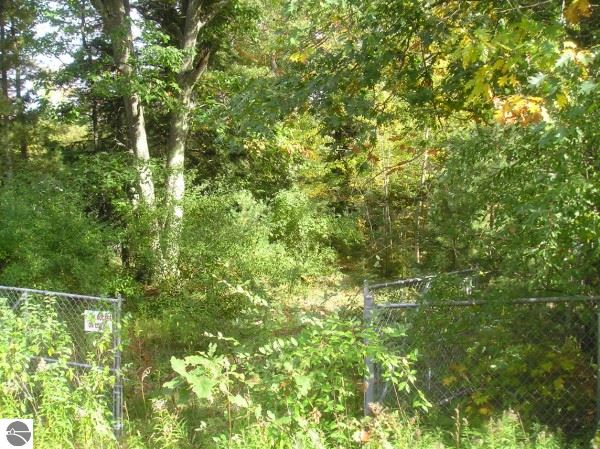 10293 Wildwood Road Interlochen, MI 49643 - Photo 2 of 5 1778003-1.JPG
