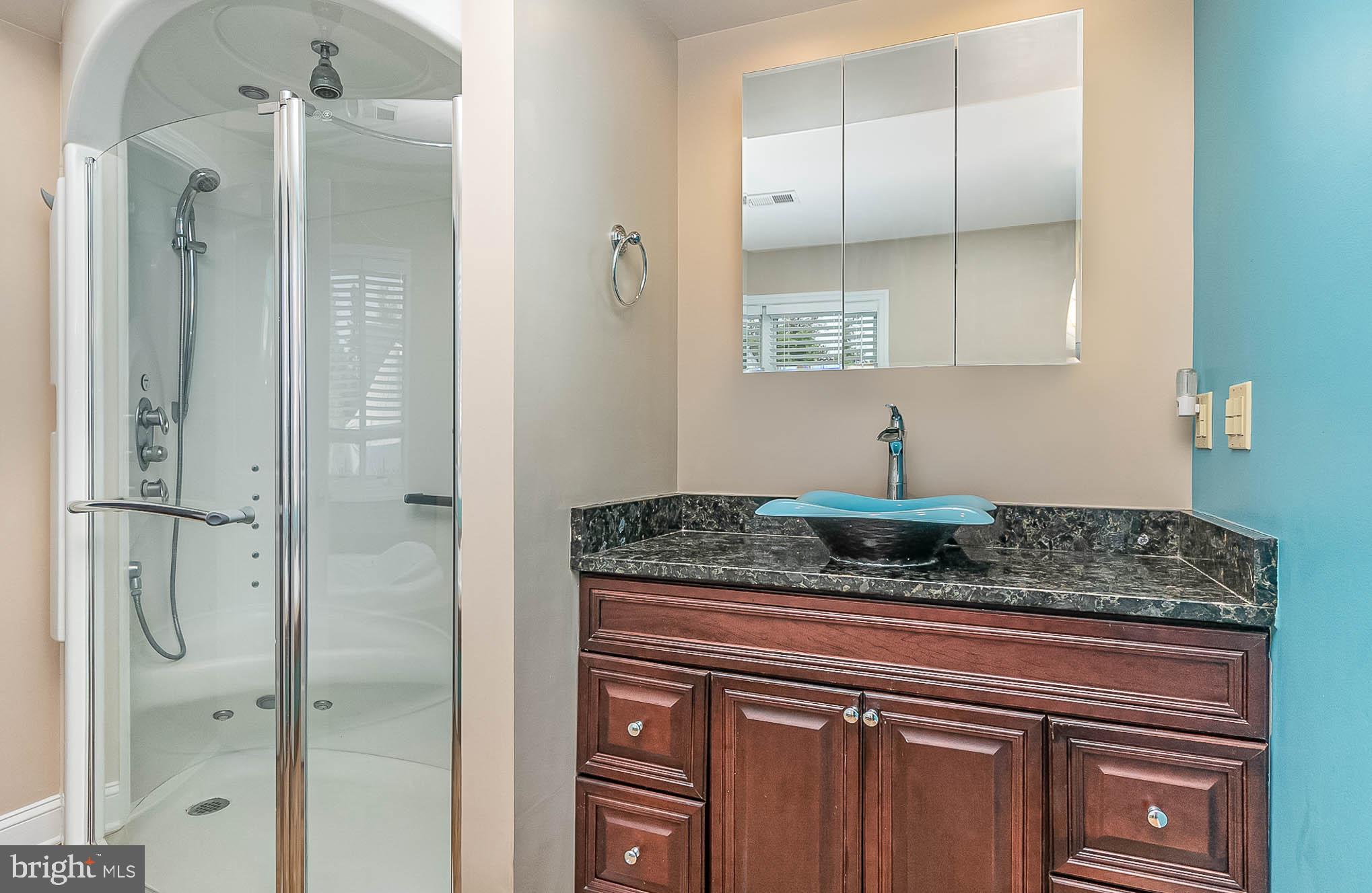 100 West Ring Factory Road Bel Air, MD 21014 - Photo 25 of 53 Primary Bath