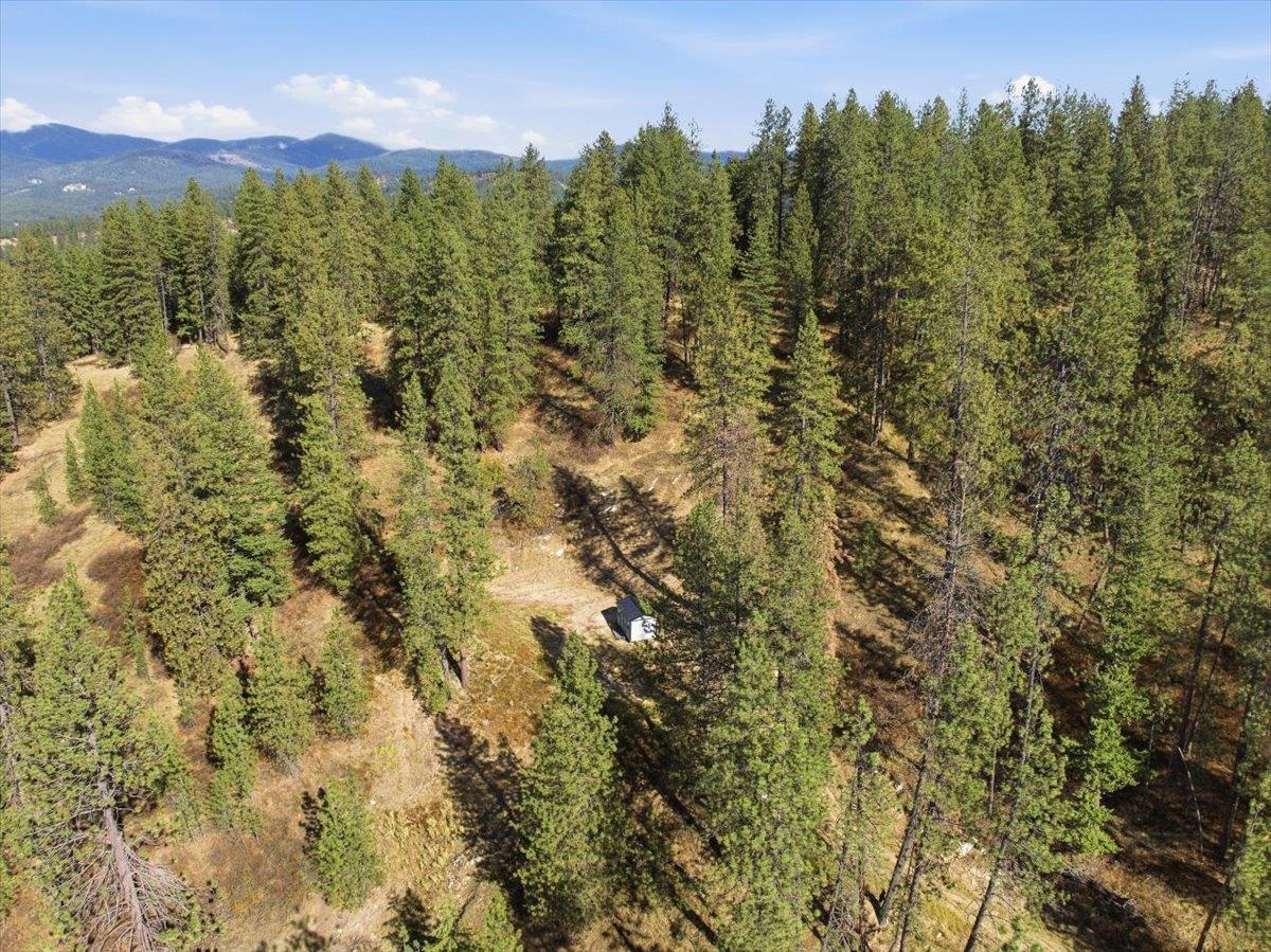 Tbd Tbd Unassigned Address Mead, WA 99021 - Photo 14 of 17 Gallery Image 14