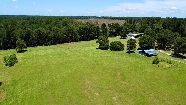 a view of a garden with a building in the background