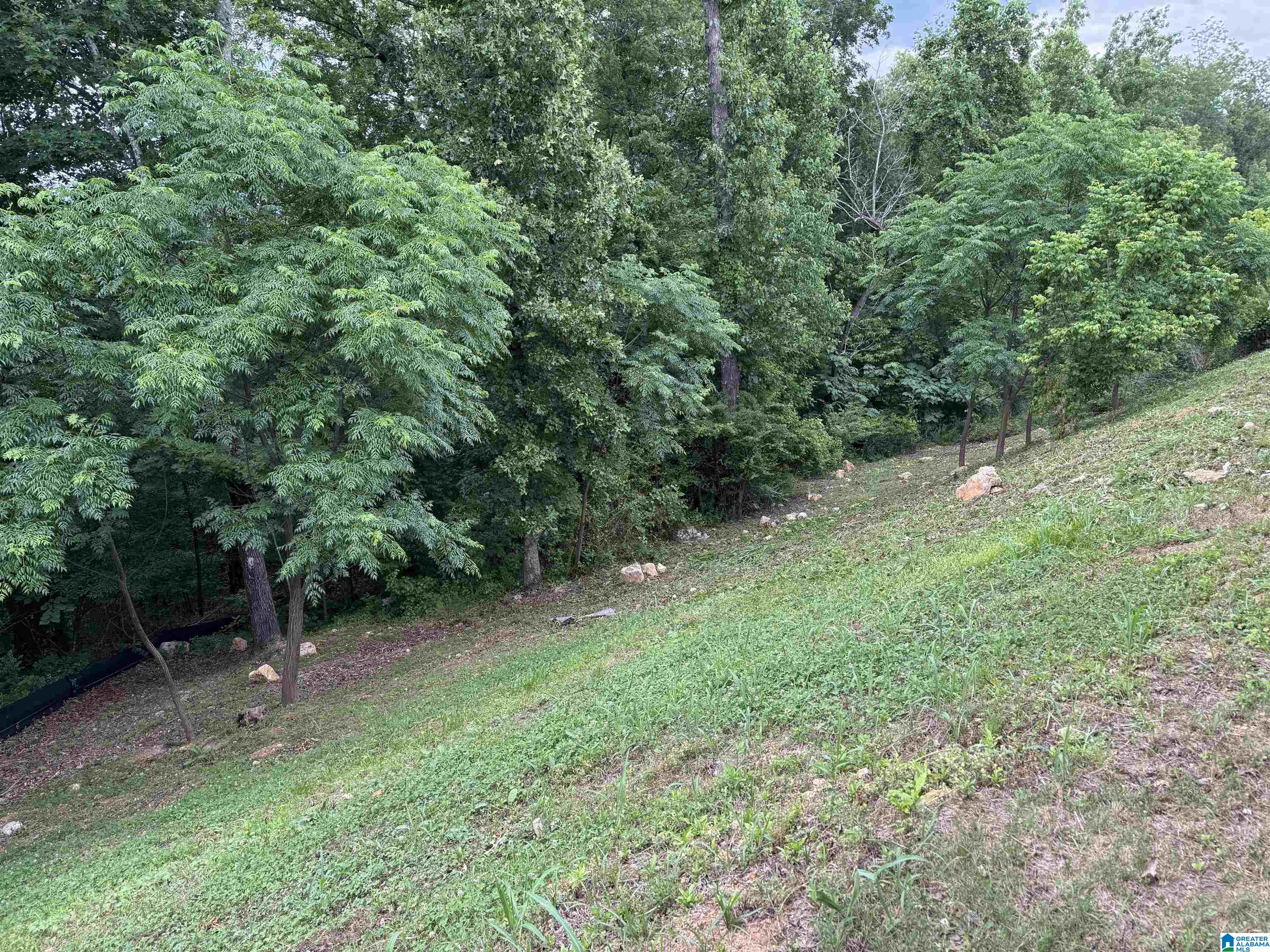 1101 Camellia Ridge Drive Pelham, AL 35124 - Photo 59 of 62