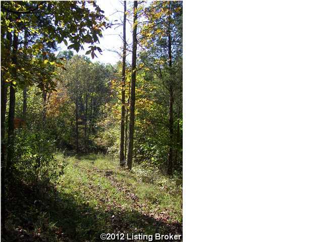 485 Scrabble Road Bagdad, KY 40003 - Photo 3 of 19 Additional Photo